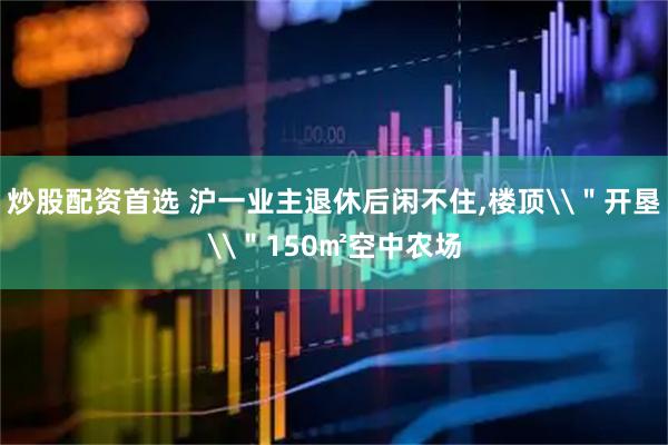 炒股配资首选 沪一业主退休后闲不住,楼顶\＂开垦\＂150㎡空中农场