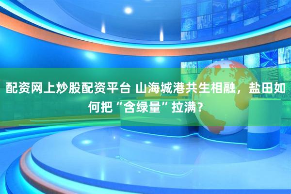 配资网上炒股配资平台 山海城港共生相融，盐田如何把“含绿量”拉满？